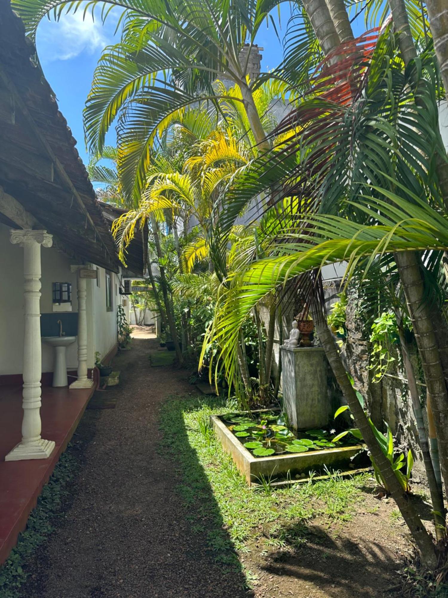 The Calm Palm Hotel Hikkaduwa Exterior photo