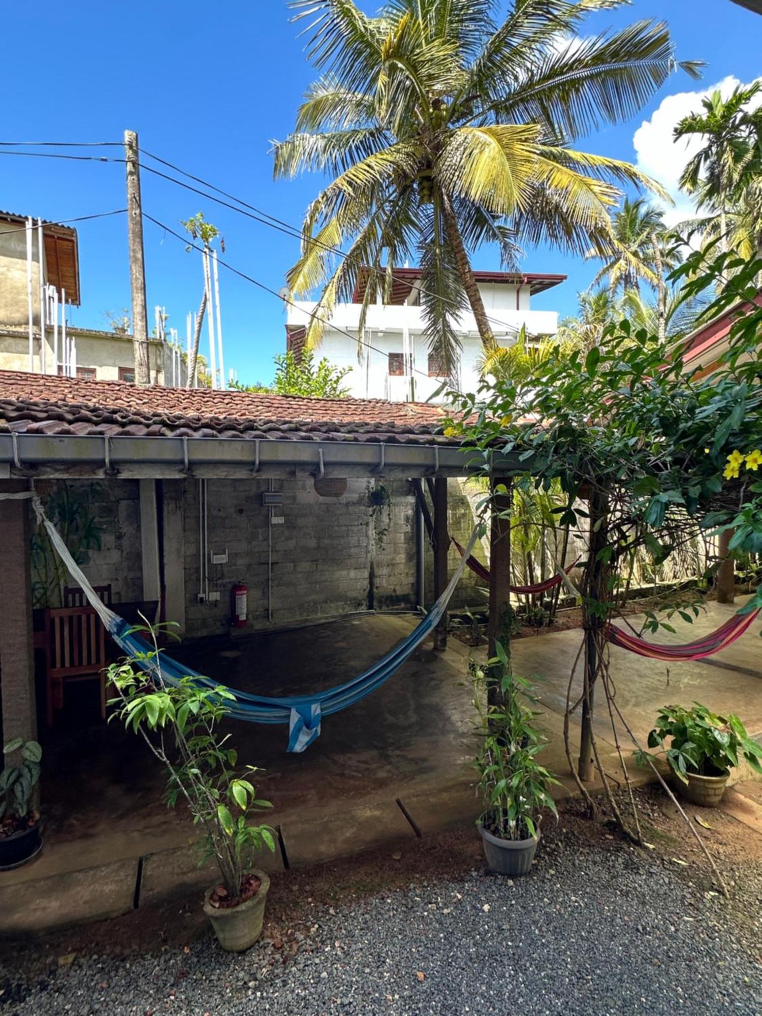 The Calm Palm Hotel Hikkaduwa Exterior photo